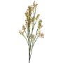 Decorative gypsophila LINFENG, peach, 28"/70cm