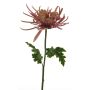 Decorative chrysanthemum YASULI, pink-lavender, 28"/70cm