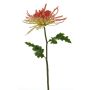 Decorative chrysanthemum YASULI, pink-yellow, 28"/70cm