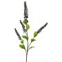 Decorative Phytolacca branch SULIYA, berries, black-purple, 3ft/95cm