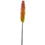 Artificial Kniphofia QIUMIN, orange, 33"/85cm