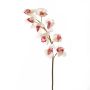Fake sprig of orchid cymbidium OKSANA, white-pink, 31"/80cm, Ø2.6"/6,5cm