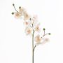 Fake sprig of orchid phalaenopsis STINA, white, 3ft/90cm, Ø2.8"-3.5"/7-9cm