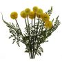 Artificial Craspedia arrangement MANXIA with fern, spike, yellow, 16"/40cm