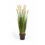 Fake foxtail grass FREDERIK with panicles, green-yellow, 3ft/90cm