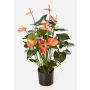 Artificial anthurium bush LEVANA, pink, 31"/80cm, Ø3.1"x4"/8x10cm