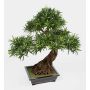 Artificial Bonsai Podocarpus MASAO, aerial roots, ceramic bowl, 33"/85cm