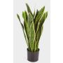 Artificial sansevieria BEYZA, green-yellow, 31"/80cm