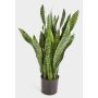 Artificial sansevieria BEYZA, green, 3ft/95cm