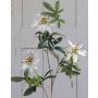 Artificial passion flower JULANDA, white-purple, 3ft/100cm
