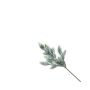 Decorative branch spruce NAGORI with cones, frosted, 14"/35cm