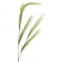 Decorative stipa branch MINBEI, green, 5ft/145cm