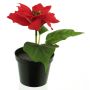 Artificial poinsettia NUORU in decorative pot, red, 6"/15cm