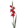 Artificial Blume Gladiolus ANUVA, red, 90cm
