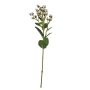 Artificial branch St John's wort TAVIRA with fruits, pale pink, 26"/65cm
