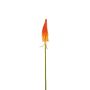 Decorative flower Red hot poker MAVORA, red-orange, 80cm
