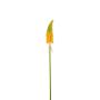 Decorative flower Red hot poker MAVORA, green-yellow, 80cm