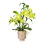 Artificial flower arrangement of orchid and bamboo MARAKI, cement pot in the shape of a Buddha head, roots, light green, 24"/60cm