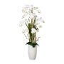 Artificial flower arrangement of orchid and corkscrew willow TENIKA, ceramic vase, roots, white, 5ft/160cm