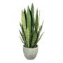Decorative succulent Sanseveria SNARLY in melamine pot, green, 31"/80cm