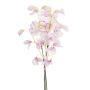 Decorative bouquet Lathyrus Bund KIDO, pink-white, 50cm