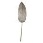 Washingtonia Palmblatt getrocknet DAIANE, champagner, 3ft/100cm