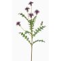 False cornflower XAVANNAH, violet, 3ft/95cm