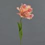 Artificial flower Parrot tulip ALISCHA, peach, 28"/70cm
