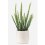 Artificial cactus Euphorbia sipolisii NORSHO in decorative pot, green, 11"/28cm