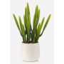 Artificial cactus Euphorbia trigona NORSHO in a decorative pot, green, 11"/28cm