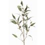 False eucalyptus branch JURKA with fruits, green-grey, 4ft/115cm