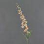 Artificial flower: bellflower NEVLAR, peach-pink, 95 cm, Ø 10 cm