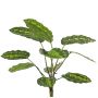 Artificial Calathea roseopicta WENFYN, stem, green, 22"/55cm
