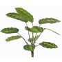 Artificial Calathea roseopicta WENFYN, stem, green, 22"/55cm