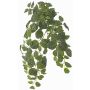 Artificial Fittonia plant LONFYN, stem, hanging, green, 30"/75cm