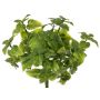 Decorative mint WONFYN, stem, green, 8"/20cm