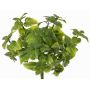 Decorative mint WONFYN, stem, green, 8"/20cm