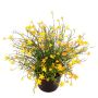 Decorative Impatiens GISINDA in decorative pot, yellow, 10"/25cm