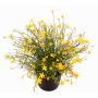 Decorative Impatiens GISINDA in decorative pot, yellow, 10"/25cm