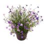 Decorative Impatiens GISINDA in decorative pot, purple, 10"/25cm