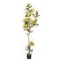 Artificial tree croton ERENDY, artificial trunk, green-yellow, 7ft/200cm