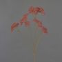 Decorative yarrow branch ORTEGA, dusky pink, 30"/75cm, Ø2.8"-5.1"/7-13cm