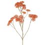 Decorative yarrow branch ORTEGA, orange, 30"/75cm, Ø2.8"-5.1"/7-13cm
