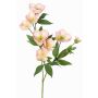 Artificial Christmas rose branch ANYALA, pink-white, 24"/60cm, Ø2"-2.4"/5-6cm
