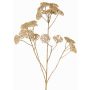 Decorative yarrow branch ORTEGA, beige, 30"/75cm, Ø2.8"-5.1"/7-13cm