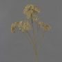 Decorative yarrow branch ORTEGA, beige, 30"/75cm, Ø2.8"-5.1"/7-13cm
