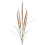 Decorative AREVALO feather grass branch with panicles, beige, 4ft/135cm
