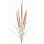 Decorative AREVALO feather grass branch with panicles, beige, 4ft/135cm