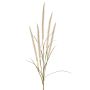 Decorative AREVALO feather grass branch with panicles, cream, 4ft/135cm