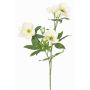 Artificial Christmas rose branch ANYALA, cream-white, 24"/60cm, Ø2"-2.4"/5-6cm